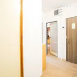 Rent 3 bedroom apartment in Jindřichův Hradec