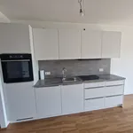 Rent 2 bedroom apartment of 49 m² in Graz