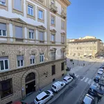 Rent 1 bedroom apartment of 30 m² in Firenze