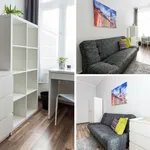 Rent a room in Poznan