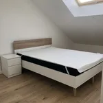 Appartement de 34 m² avec 3 chambre(s) en location à ONNAINGT