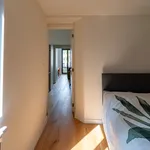 Rent 1 bedroom apartment in Antwerpen