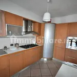 Rent 3 bedroom apartment of 70 m² in Novara