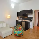 Rent 1 bedroom apartment of 40 m² in Milan