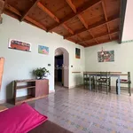 Rent 2 bedroom apartment of 55 m² in Naples