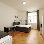 Rent 1 bedroom apartment of 27 m² in Prague