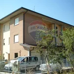 Rent 2 bedroom apartment of 55 m² in Reggio nell'Emilia