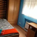 Rent a room in madrid