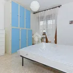 Rent 3 bedroom apartment of 80 m² in Bra