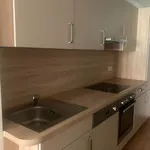 Rent 2 bedroom apartment of 52 m² in Graz