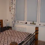 Rent 1 bedroom apartment of 48 m² in Brno