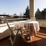 Rent 3 bedroom apartment of 50 m² in Bologna