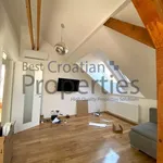 Rent 1 bedroom apartment of 55 m² in City of Zagreb