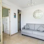 Rent 1 bedroom apartment of 14 m² in SUR MER