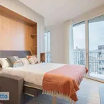 Rent 1 bedroom apartment of 28 m² in Milan