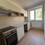 Rent 2 bedroom apartment of 63 m² in Nepomuk