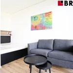 Rent 1 bedroom apartment of 27 m² in Brno