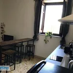 Rent 2 bedroom apartment of 45 m² in Palermo