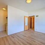 Pronájem bytu 1+kk 22m²