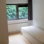 Rent 2 bedroom apartment of 100 m² in Arnhem