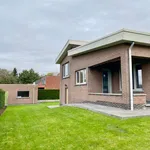 Huur 2 slaapkamer huis van 918 m² in Nijlen