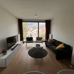 Rent 2 bedroom apartment of 77 m² in brussels