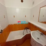 Rent 1 bedroom apartment of 43 m² in Frýdlant nad Ostravicí