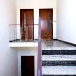 Rent 3 bedroom apartment of 80 m² in Cecina