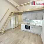 Pronajměte si 1 ložnic/e byt o rozloze 42 m² v Prague