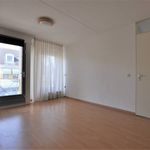 Huur 3 slaapkamer huis van 161 m² in Eindhoven