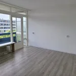 Huur 1 slaapkamer huis van 16 m² in Arnhem