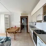 Rent 2 bedroom apartment of 50 m² in Milan