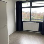 apartment in Prinses Beatrixstraat, Ridderkerk, Netherlands
