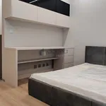 Pronajměte si 1 ložnic/e byt o rozloze 29 m² v Prague