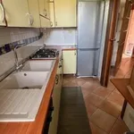 Rent 5 bedroom apartment of 105 m² in Siena