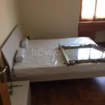 Rent 3 bedroom apartment of 80 m² in Torino