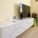 Rent 2 bedroom apartment of 50 m² in Turin