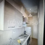 Rent 2 bedroom apartment of 35 m² in Palestrina