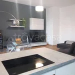 Rent 2 bedroom apartment of 82 m² in Segrate