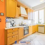 Rent 3 bedroom apartment of 76 m² in Fossano