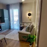 Rent 1 bedroom apartment of 50 m² in Padova