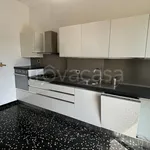 Rent 2 bedroom apartment of 63 m² in Genova