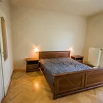 Rent 3 bedroom apartment of 117 m² in Budapest