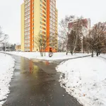 Rent 1 bedroom apartment in Ostrava