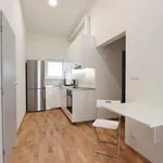 Rent 1 bedroom apartment in Brno