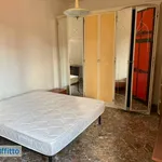 Rent 3 bedroom apartment of 70 m² in Bologna