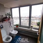 Rent 4 bedroom apartment of 210 m² in Bucharest