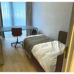 Rent 2 bedroom apartment in brussels