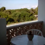 Rent 1 bedroom apartment of 50 m² in Cadiz']