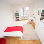 Rent a room of 90 m² in Strasbourg